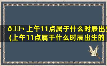 🐬 上午11点属于什么时辰出生(上午11点属于什么时辰出生的女孩)